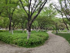 -范蠡湖公园