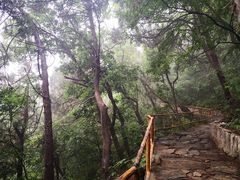 -北京上方山国家森林公园