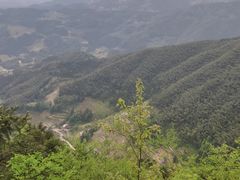 -紫鹊界梯田景区