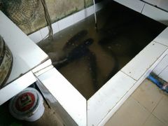 -乐荣鱼庄(建设路)