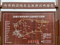 -盐城丹顶鹤湿地生态旅游区