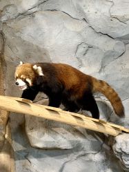 -Zoolung Zoolung动物主题公园(海信广场店)