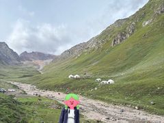 -新疆那拉提国家旅游度假区