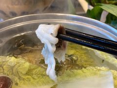龙胆鱼-悦鼎汇海鲜姿造