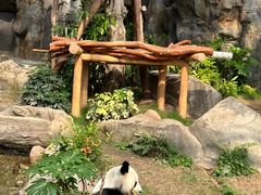 -香港海洋公园