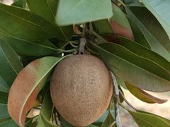 -中国移动南方基地