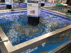 -盒马X会员店(上海森兰商都店)
