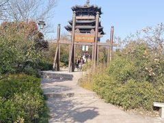 -杭州半山国家森林公园