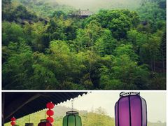 -大唐贡茶院