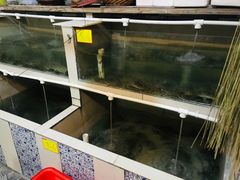 水产区-水岸居湖景农家乐·阳澄湖大闸蟹
