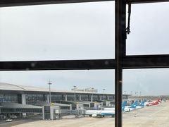 -青岛胶东国际机场