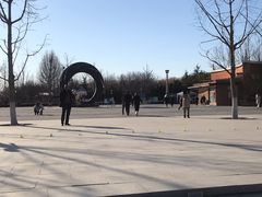 -大兴滨河森林公园