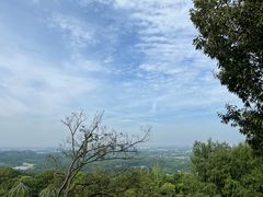 -牛首山文化旅游区