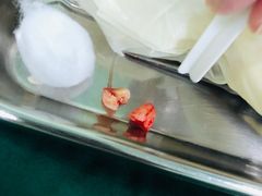 -皓洁口腔门诊部(金色雅园金涛苑店)