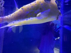 -太平洋海底世界