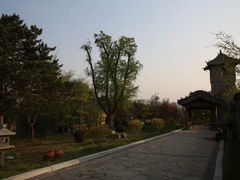 iphone_upload_pic-爱新觉罗皇家博物院