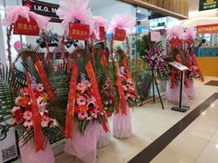 -极真空手道疾风道场(虹口凉城店)