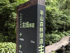 -杭州半山国家森林公园
