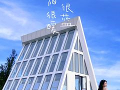 -东澳岛