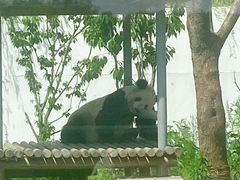 -苏州太湖国家湿地公园