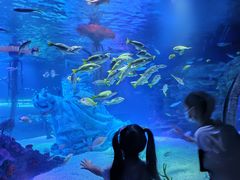 -沈阳海洋探索中心