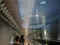 -白鹤梁水下博物馆