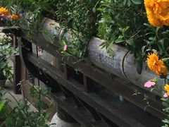 -新安江山水画廊风景区