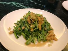 -甄御•海鲜新青岛菜(麦岛店)