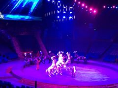 -珠海横琴长隆《卡卡虎奇遇记》