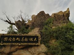 -大槐树寻根祭祖园