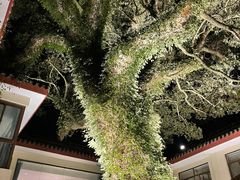 -普陀山雷迪森庄园
