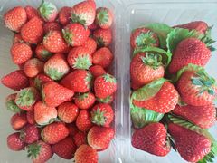草莓-盛福小关菜市场