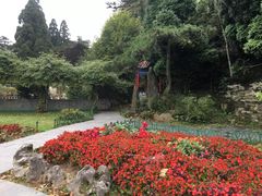 -庐山风景区花径公园