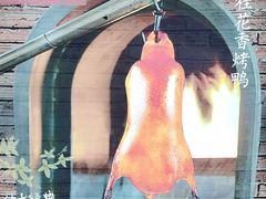 -青年公社烤鸭(宝杨宝龙广场店)