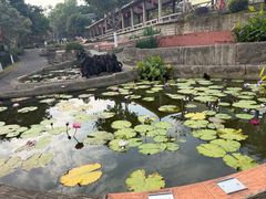 -广州莲花山旅游区