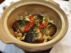 -勝記酒家·37年老字号·经典粤菜(荔枝公园店)