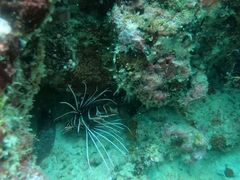 -中央格兰德岛温泉度假酒店 - 全包