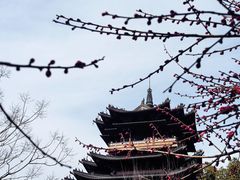 -杭州半山国家森林公园