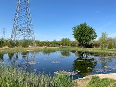 -永定河休闲森林公园