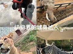 -贵州森林野生动物园