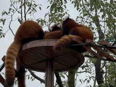 -杭州野生动物世界