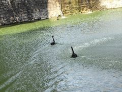 -桂林独秀峰王城景区