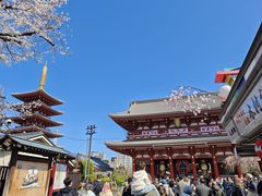 -浅草寺