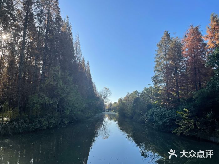 上海怡沁园度假酒店图片