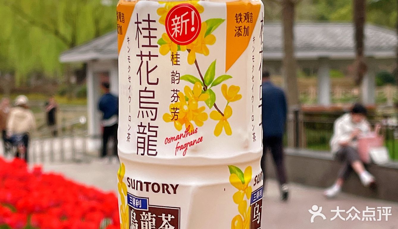 感受春日无糖清爽 品味健康生活