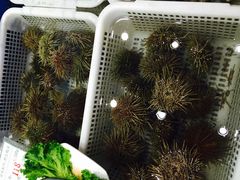 -海岛渔村大酒店(云霄路店)