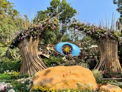 -深圳仙湖植物园