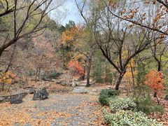 -北京鹫峰国家森林公园