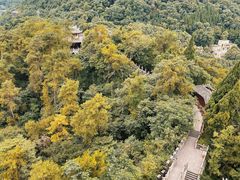 -都江堰景区