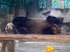 -栾川竹海野生动物园